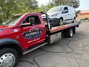 Andrea J Towing