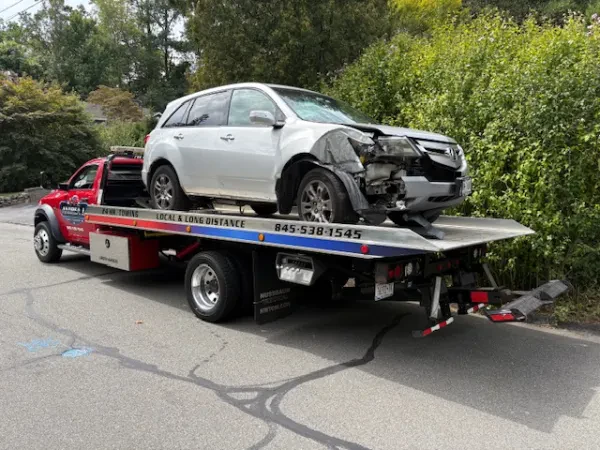 Andrea J Towing - photo 4