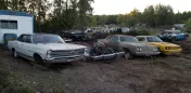 Freyholtz Auto Salvage