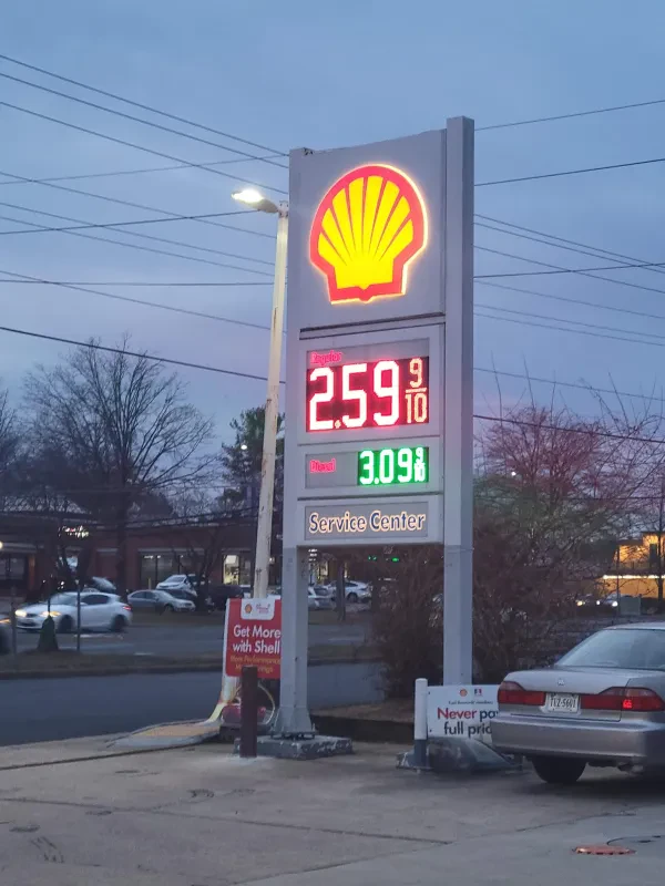 Shell - photo 3