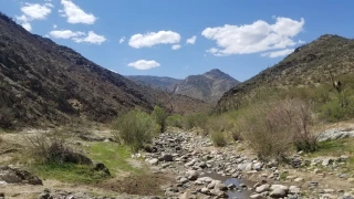 Turkey Creek