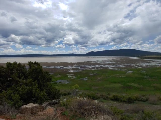 Mormon Lake