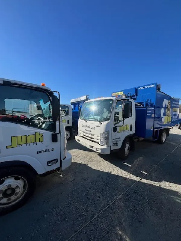 Junk Punk - Junk Removal - photo 4