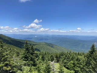 Mt Mitchell