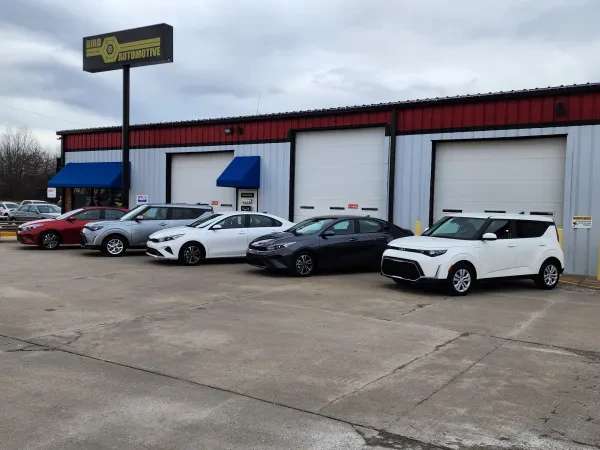 Bird Automotive - Blue Springs - photo 4