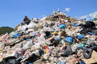 Lane County Recycling Center