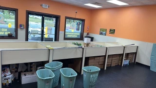 Cash For cans
