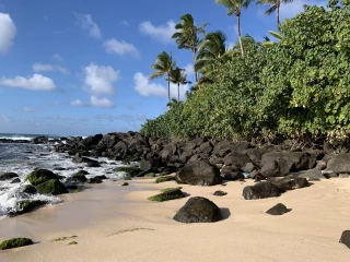 Kawailoa Beach