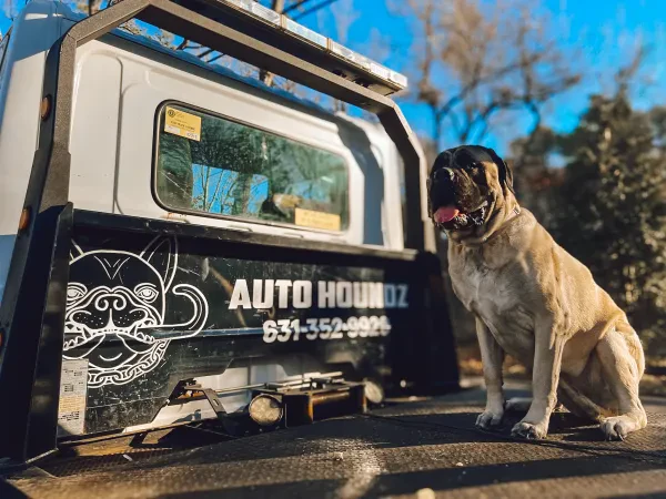 Auto Houndz - photo 4