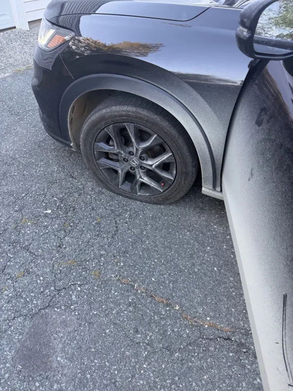 Taveras Auto Sales And Repair - photo 2