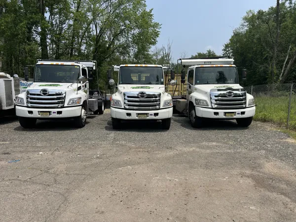 DeLalla Carting - photo 3