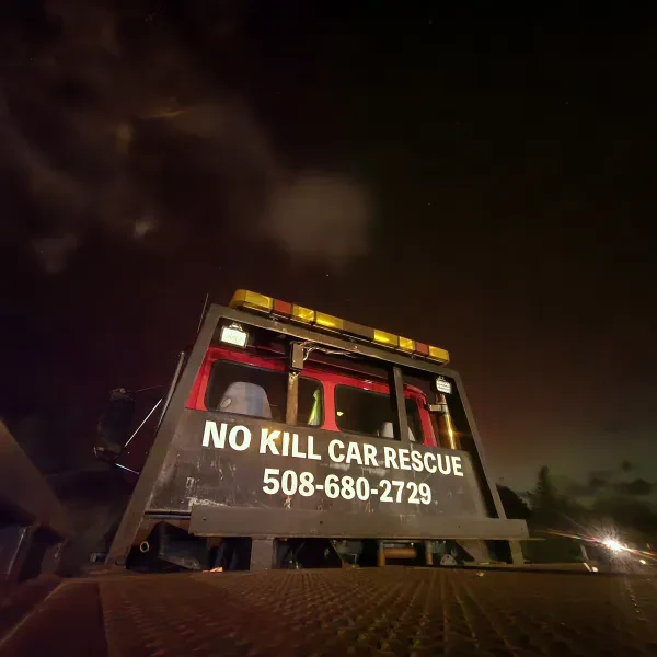 No Kill Car Rescue Inc - photo 2