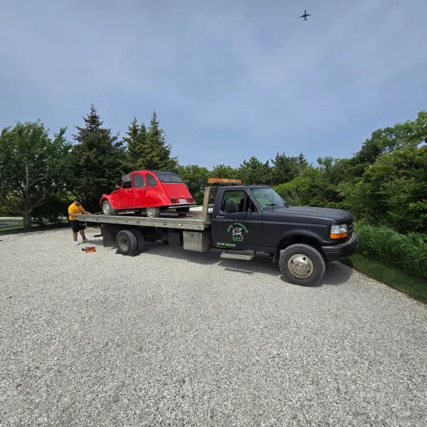 No Kill Car Rescue Inc - photo 3