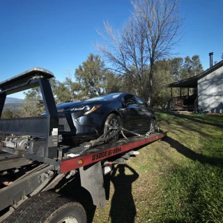 Technique Ponderosa Towing
