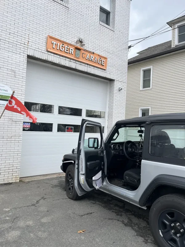 Tiger Garage - photo 3