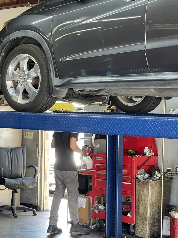 COIT AUTO CENTER - photo 4