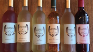 Cassel Vineyards of Hershey