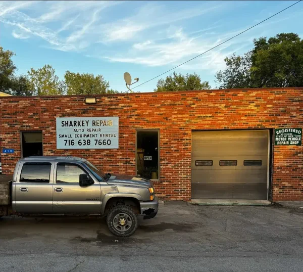 Sharkey Repair - photo 4