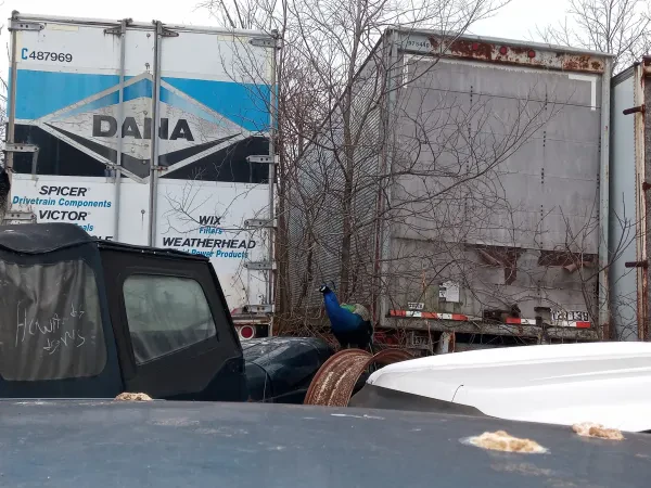 Howard & Sons Towing & Salvage - photo 4