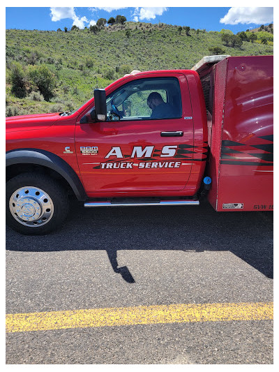AMS Heavy Duty Towing JunkYard in North Salt Lake (UT) - photo 2