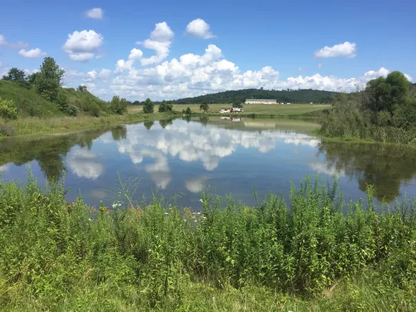 Rumpke - Pike Sanitation Landfill - photo 2