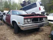 Honk's Martin Road Salvage