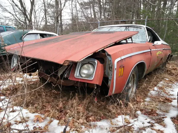Honk's Martin Road Salvage - photo 4