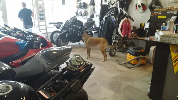 AFJ Race Shop - photo 2