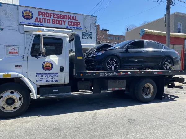 Professional Auto Body Corp. - photo 3