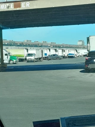 D'Arrigo Delivery Inc