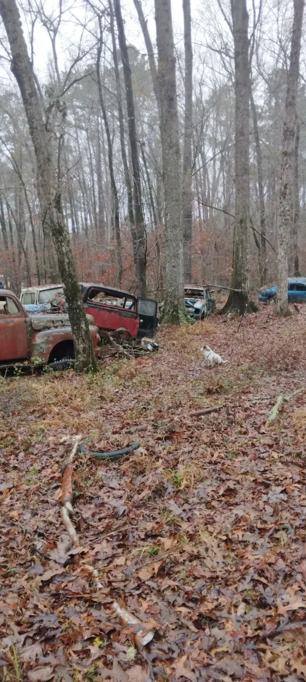 United Auto Sales & Salvage - photo 3
