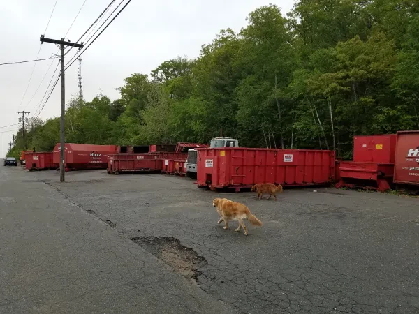 Hiltz Waste Disposal - photo 4