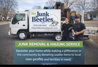 The junk beetles