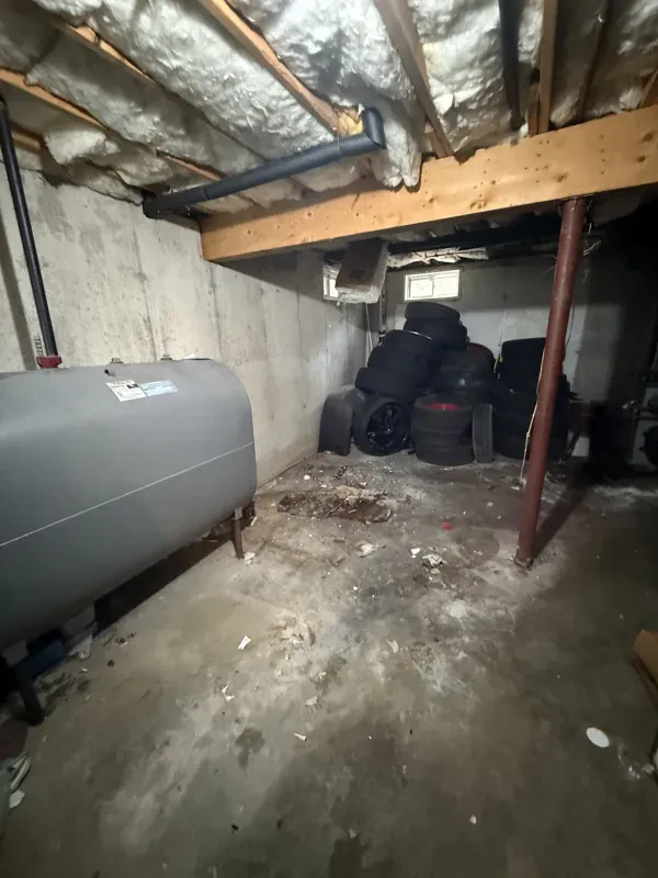 Amherst Junk - photo 4