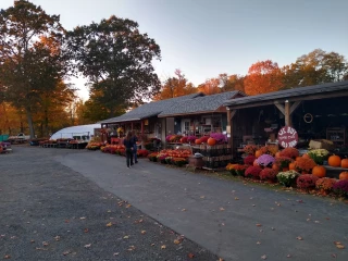 Rock Ridge Farm