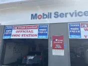 Advantage Smog test