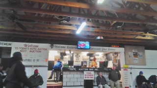 Auto Auctions Inc