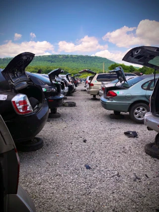 LKQ Pick Your Part - Chattanooga JunkYard in Chattanooga (TN) - photo 2