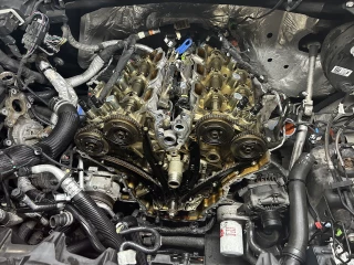 Wolf Den Auto
