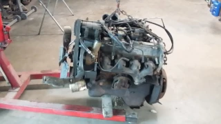 Blackies Automotive