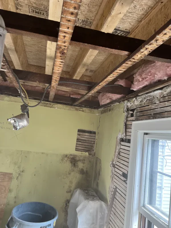 Mass General Removal - photo 2