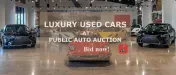 Used Car Auction Austin – Used Cars for Sale in Austin, TX | Texas Trusted Auto Dealers | 1ClickAA