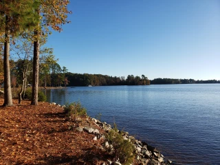 Dreher Island State Park