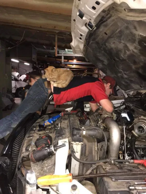 Outlaw Repair & Recovery - photo 3