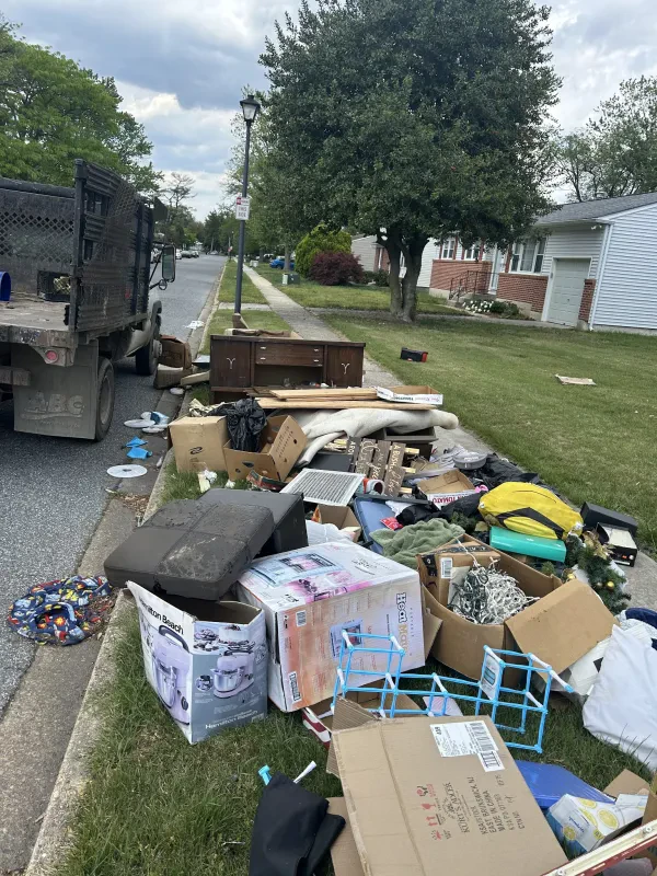 Ball Out Junk Removal - photo 4