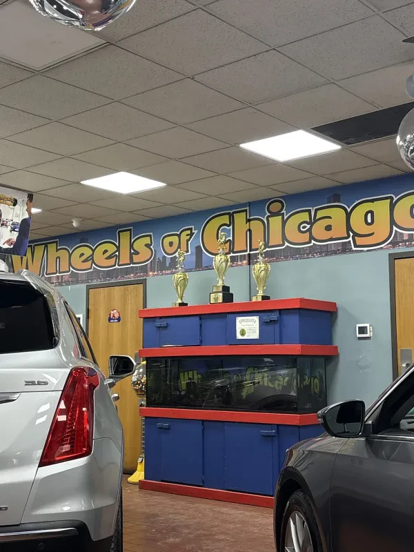Wheels of Chicago | Western Ave - photo 3