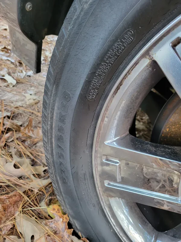 Fred's Auto Parts and Service - photo 3