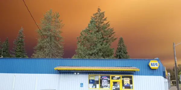 NAPA Auto Parts - Wilson's Auto Parts - photo 4