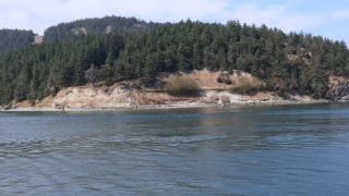 Shaw Island