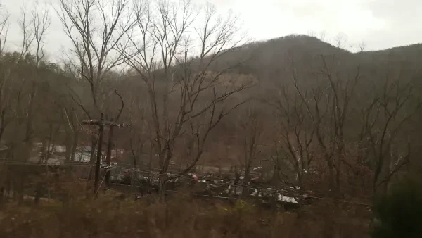 S S Belcher Co - photo 2